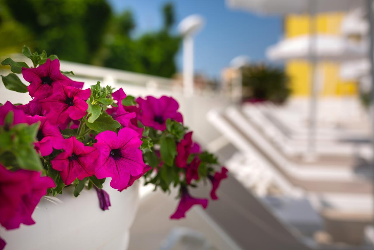 International Beach Hotel カオルレ エクステリア 写真